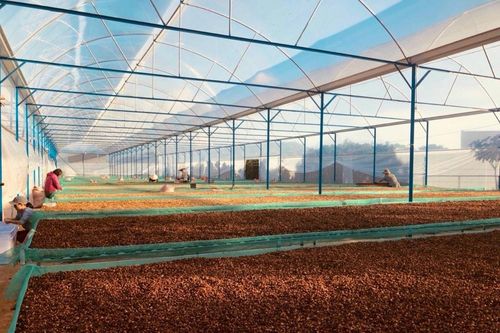Nông sản Việt vào top 10 xuất khẩu