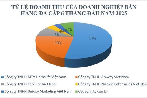 Doanh thu kinh doanh đa cấp giảm mạnh, nhiều vi phạm chuyển sang cơ quan Công an