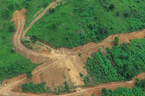 Gia Lai: Kiểm tra vụ sườn núi Chư Nâm bị san ủi đất