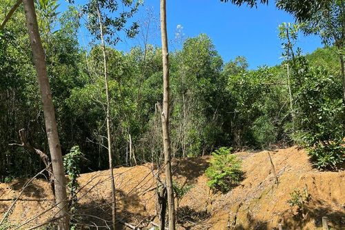 Truy quét nạn khai thác vàng trái phép