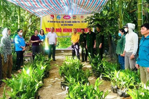 Niềm vui khấm khá kinh tế từ cây cau ở xã miền núi xứ Nghệ