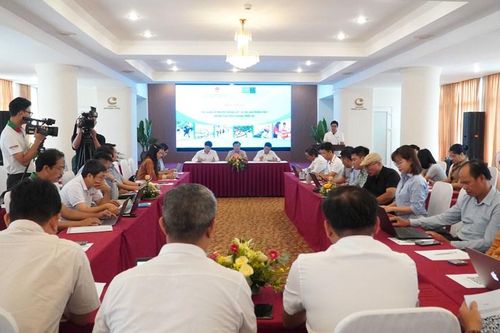 Tập huấn truyền thông phòng, chống thiên tai cho các phóng viên ở miền Trung