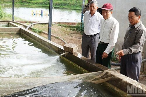 Từ người lính Cụ Hồ đến 'bàn tay vàng' trên đất Tây Nguyên