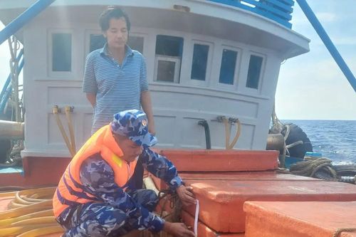 Cảnh sát biển tạm giữ tàu cá chở hơn 110.000 lít dầu D.O trái phép
