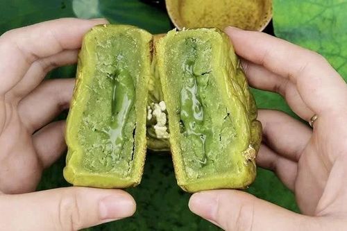 Loại nhân bánh Trung thu 'làm mưa làm gió' mùa trăng 2025