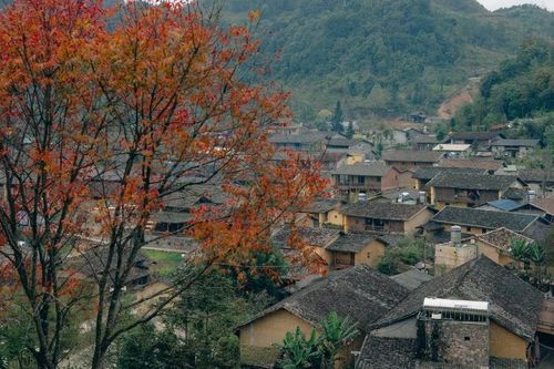 Giá cả ở 'Lô Lô Chải đắt gấp 3 lần' là sai sự thật
