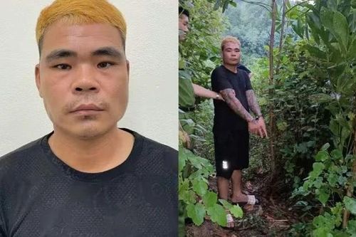 Bắt đối tượng rủ đồng bọn thực hiện nhiều vụ trộm cắp tài sản ở Hà Nội