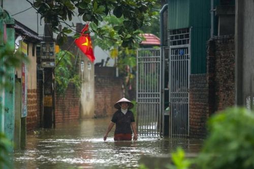 Hà Nội lập kế hoạch tổng thể cải tạo đê điều, chống lũ sông Bùi