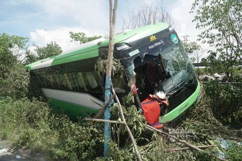 Cây xanh và cao tốc