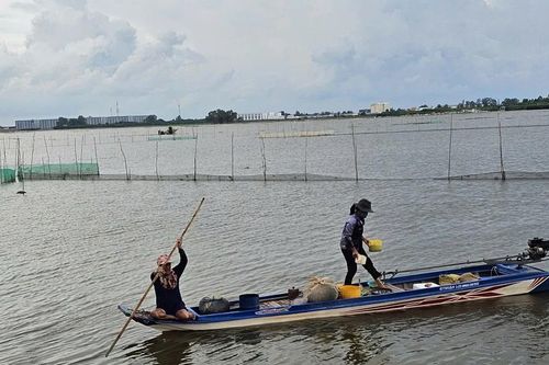 Cảnh mưu sinh nơi đầu nguồn lũ miền Tây