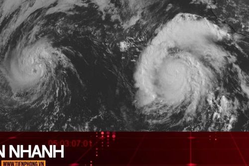 TIN NHANH: Khả năng xuất hiện bão cấp 'cuồng phong' nối đuôi áp thấp nhiệt đới