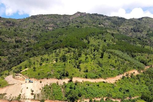 Chủ tịch tỉnh Gia Lai yêu cầu kiểm tra, xử lý nội dung vụ việc báo Tiền Phong nêu