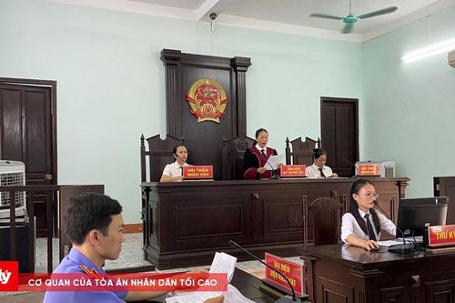 Chú cháu ruột cùng lĩnh án khi đi giật điện thoại
