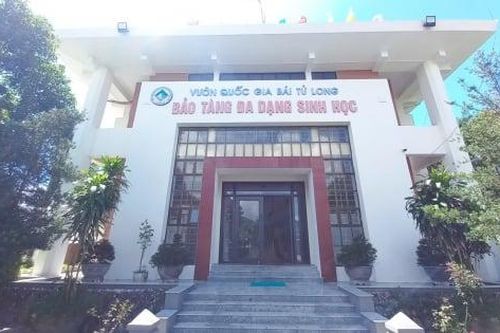Khám phá bảo tàng Đa dạng sinh học Vườn quốc gia Bái Tử Long