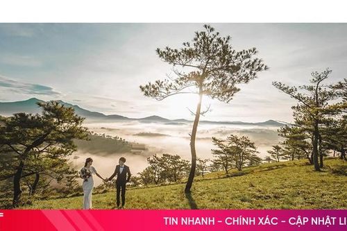 Bật mí kinh nghiệm chụp ảnh cưới Đà Lạt đẹp như mơ cho các cặp đôi