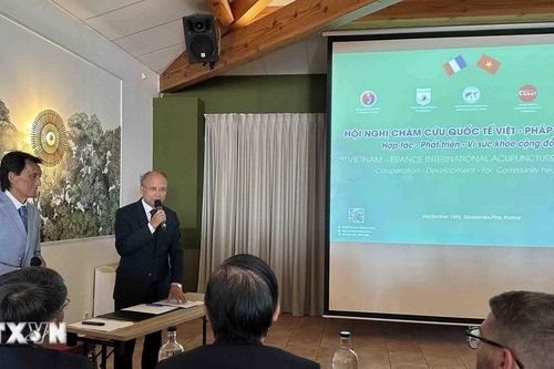 Châm cứu - Cầu nối y học và văn hóa giữa Việt Nam và Pháp