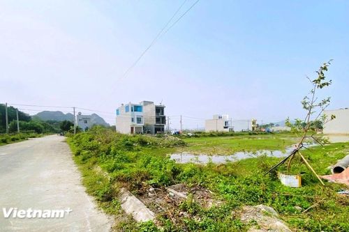 Đà Nẵng điều động 75 cán bộ hỗ trợ chính quyền xã, phường về quản lý đất đai