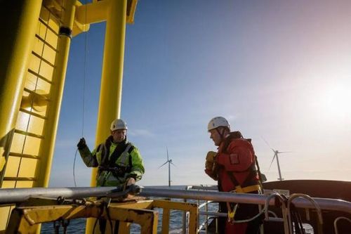 Bất định bao trùm dự án điện gió ngoài khơi 1.500 MW