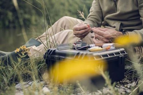 Cần thủ không thể tin vào mắt mình khi thấy cảnh tượng này lúc đang câu cá