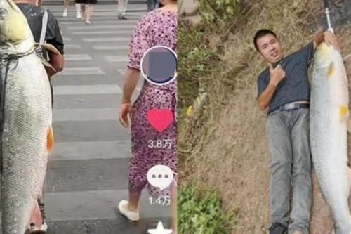Đem 'thủy quái' to như người đi diễu phố, trả vài triệu cũng ko bán