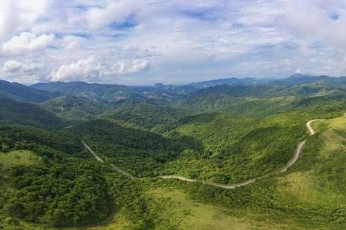 Quảng Ninh có hơn 36.300ha rừng 'bền vững'