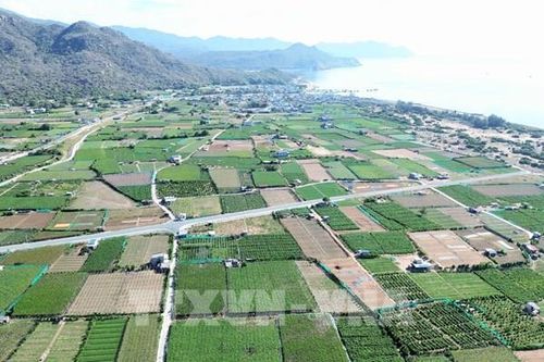 Dự án Nhà máy điện hạt nhân Ninh Thuận: Nhiều vướng mắc cần tháo gỡ