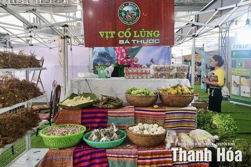 Đưa khoa học và công nghệ vào thế mạnh bản địa