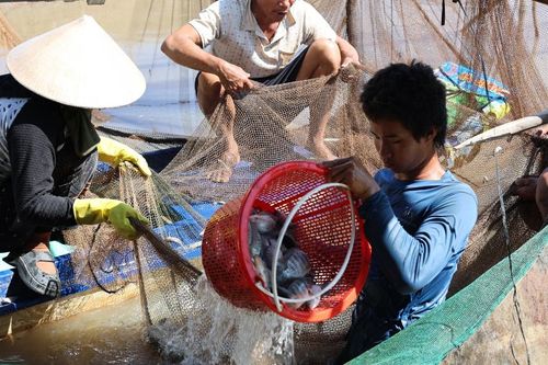 UNDP Việt Nam cam kết hỗ trợ bảo tồn đa dạng sinh học