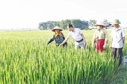 Bắc Ninh: Lan tỏa phong trào thi đua dân vận khéo