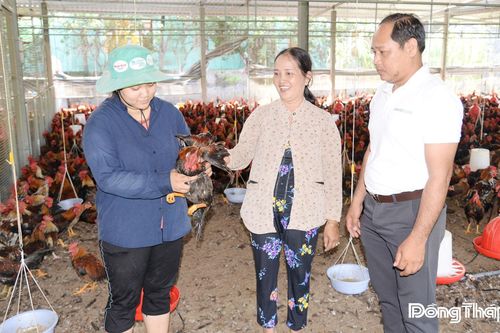Nhiều loại nông sản tăng giá trở lại