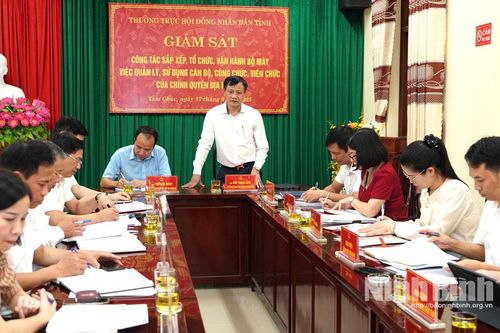 Thường trực HĐND tỉnh giám sát công tác vận hành bộ máy, bố trí cán bộ tại phường Tam Chúc