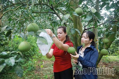 Bài 2 – Tín hiệu vui từ lộ trình xuất khẩu