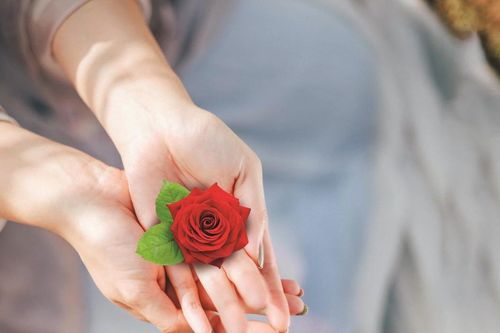 Tâm hiếu của gen Z