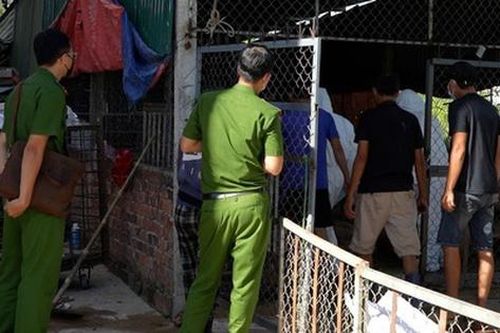 Khởi tố chủ cơ sở gom heo bệnh chở đi nơi khác tiêu thụ