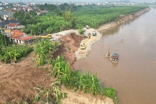 Phú Thọ khẩn cấp xây kè chống sạt lở bờ sông Hồng