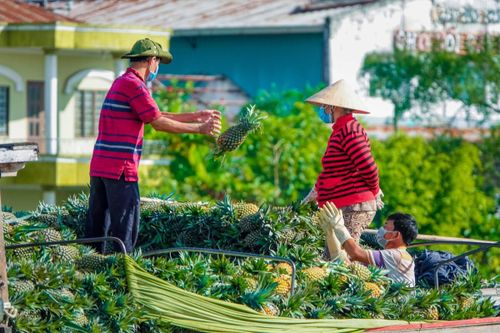 Nông nghiệp Đồng bằng sông Cửu Long trước thách thức biến đổi khí hậu