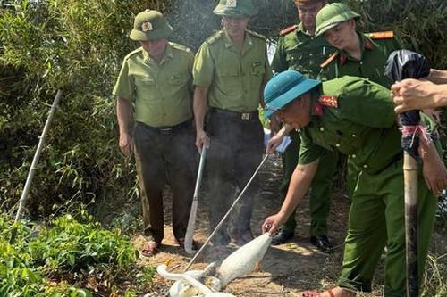 Hà Tĩnh: Ngăn chặn, tiêu hủy nhiều dụng cụ bẫy chim trời