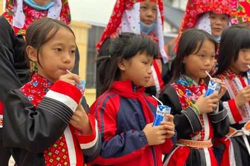Sữa và chế phẩm sữa – nền tảng dinh dưỡng vàng cho sự phát triển của trẻ em