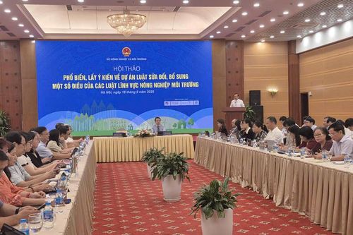 Sửa đổi, bổ sung một số điều của các luật lĩnh vực nông nghiệp môi trường: Tháo gỡ nhiều 'điểm nghẽn'