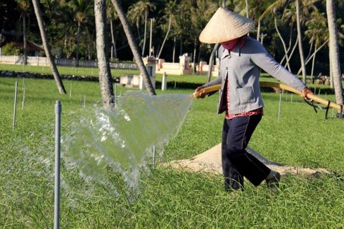 Đề xuất phương án cung cấp nước ngọt cho đặc khu Lý Sơn