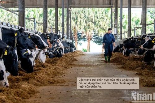 Tài sản vô hình: Nguồn lực phát triển của doanh nghiệp