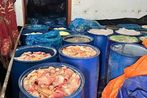 Gia Lai: Phát hiện gần 5 tấn da heo hôi thối tại cơ sở lạp xưởng