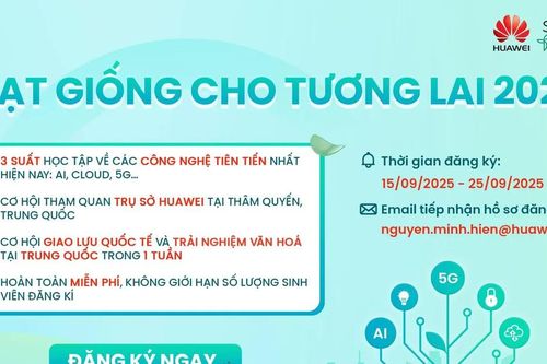 'Hạt giống cho tương lai', một thập kỷ phát triển nguồn nhân tài ICT đất Việt