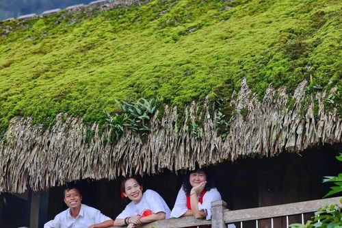 Nhiều hoạt động văn hóa đặc sắc tại lễ hội 'Mùa vàng - Làng nhà rêu'