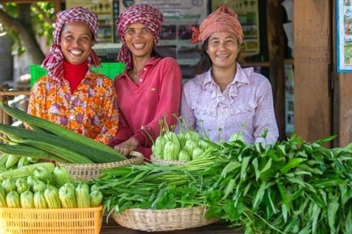 Liên hợp quốc - Hành trình 80 năm vì hạnh phúc, hòa bình cho nhân loại