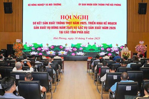 Chủ động kế hoạch sản xuất, nâng cao hiệu quả các vụ trồng trọt