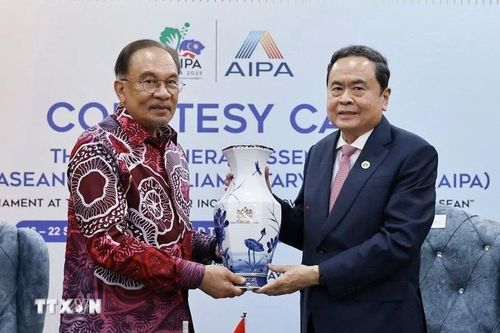 Đẩy mạnh xuất khẩu điện năng lượng tái tạo từ Việt Nam sang Malaysia, Singapore