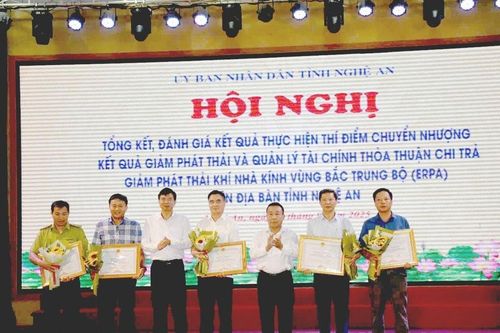 Tăng tốc ứng dụng công nghệ thông tin, hoàn thiện hệ thống quản lý dữ liệu thỏa thuận chi trả giảm phát thải