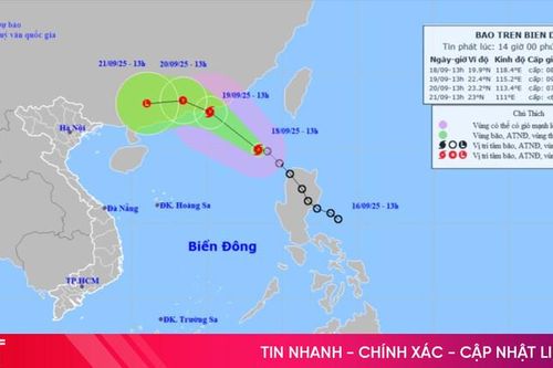 Bão số 8 hình thành, gió giật cấp 10