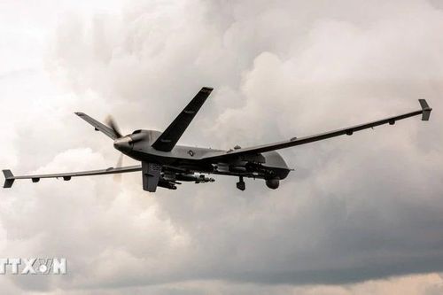 Ba Lan và Ukraine thành lập nhóm tác chiến chung về UAV